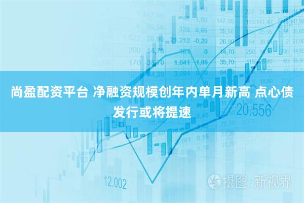 尚盈配资平台 净融资规模创年内单月新高 点心债发行或将提速
