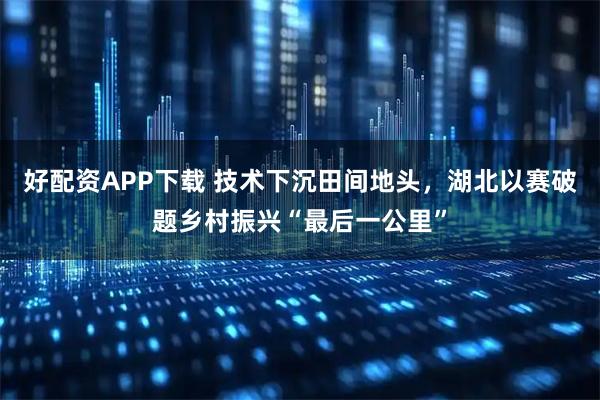 好配资APP下载 技术下沉田间地头，湖北以赛破题乡村振兴“最后一公里”