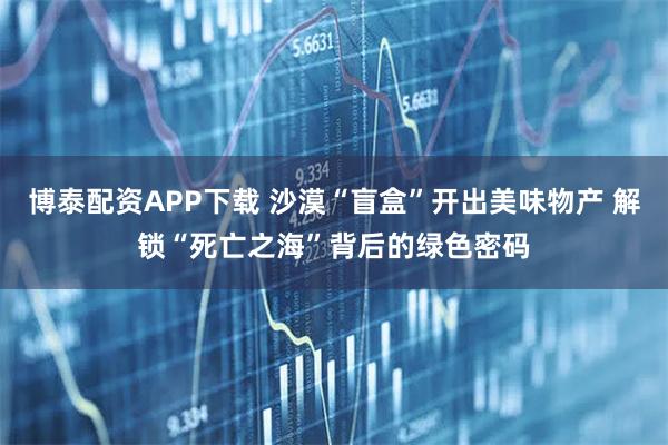 博泰配资APP下载 沙漠“盲盒”开出美味物产 解锁“死亡之海”背后的绿色密码